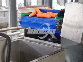 Línea de Pelado al Vapor para Zanahoria