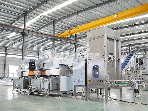 Lavadora De Bandejas De Huevos Industrial
