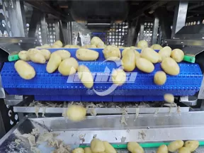 Máquina de Pelado al Vapor