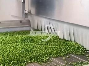 Línea de procesamiento de verduras congeladas