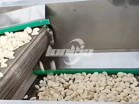 Línea de producción de pelado de ajos