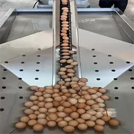 Tanque receptor de huevos
