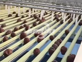 Máquina clasificadora por rieles