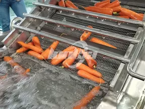 Línea de procesamiento de zanahorias totalmente automática