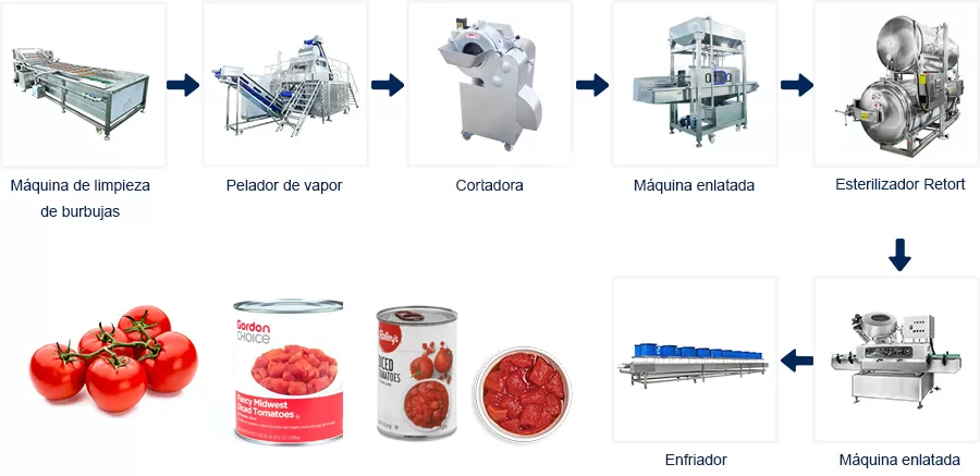 Proceso de Línea de Producción Línea de Producción de Conservas de Tomate