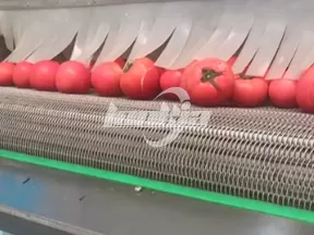 Línea de producción de cubos de tomate congelado