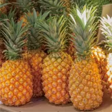 Piña