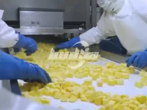 Línea de producción de cubos de mango congelado