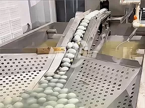 Línea de lavado automático de huevos