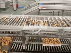 Máquina clasificadora de frutas y verduras por rodillos