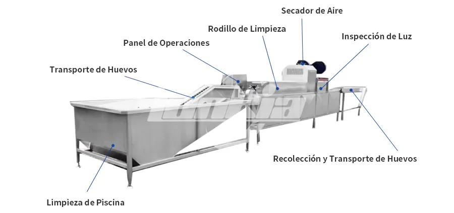 Proceso de Línea de Producción Línea de lavado automático de huevos