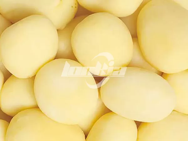 máquina industrial de pelado de patatas