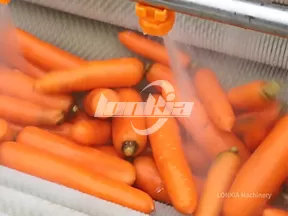Máquina Peladora Industrial de Rodillos con Cepillos