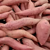 Batata