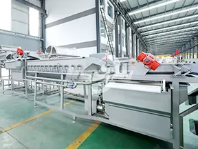 Máquina de limpieza de verduras por vórtice