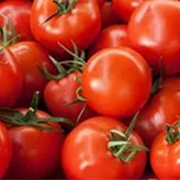 Tomate