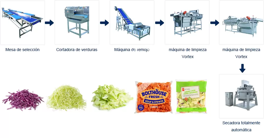 Proceso de Línea de Producción Línea de Producción de Ensaladas de Verduras