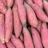 Batata
