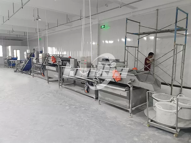 Empresa polaca de procesamiento de ensaladas mejora la eficiencia con la línea de lavado y corte de vegetales LONKIA