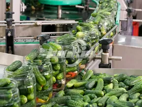 Línea de Producción de Conservas de Pepino