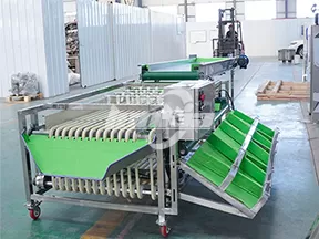 Máquina clasificadora por rieles