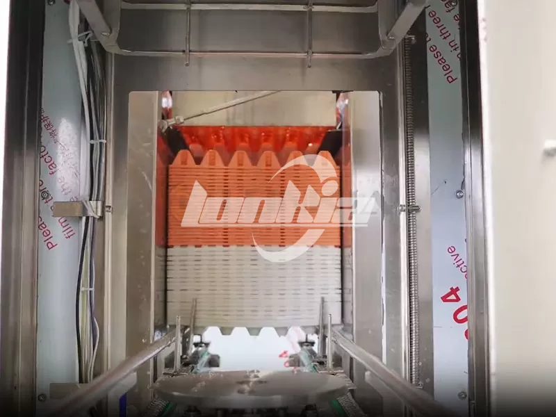 ¿Cuánto cuesta una máquina lavadora de bandejas de huevos? Factores que influyen en el precio