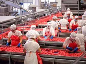 Línea de producción de cubos de tomate congelado