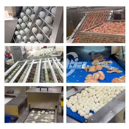 Máquina Peladora de Huevos Cocidos