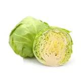 Repollo