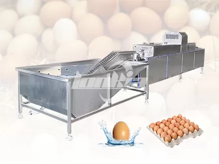 Línea de lavado automático de huevos