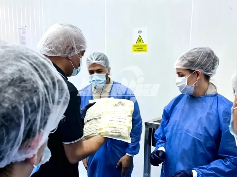Línea de Producción de Papas Fritas Congeladas de 1.5T/H de LONKIA Entregada con Éxito en Egipto y Altamente Valorada por el Cliente