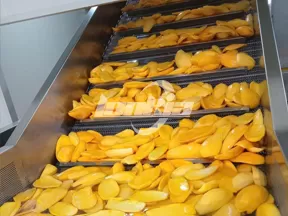 Línea de producción de cubos de mango congelado