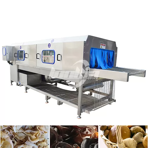 Lavadora tipo túnel para frutas y verduras