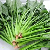 Espinaca