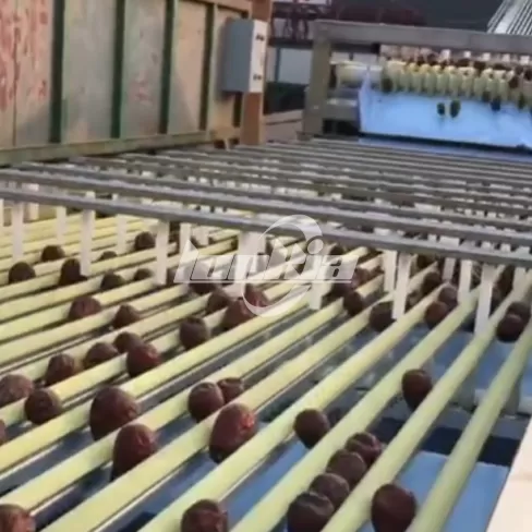 Máquina clasificadora por rieles