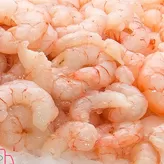 Gamba