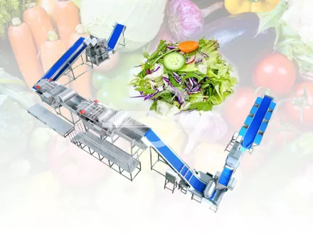 Línea de Producción de Ensaladas de Verduras
