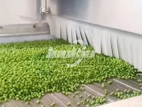 Congelador de lecho fluidizado