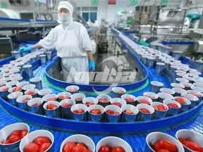 Línea de Producción de Conservas de Tomate