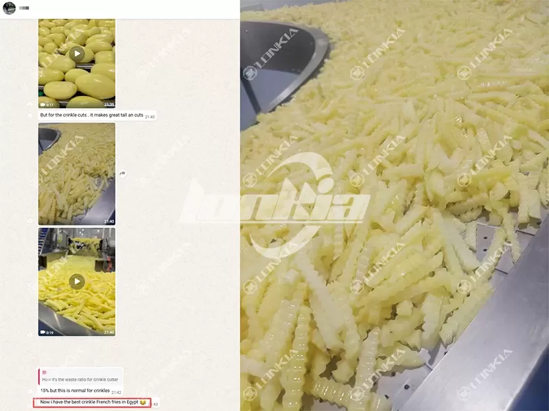 Opiniones de los clientes sobre la línea de producción de patatas fritas congeladas LONKIA
