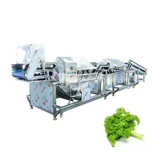 Lavadora no destructiva para verduras de hoja