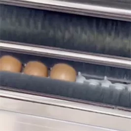 Lavadora de huevos