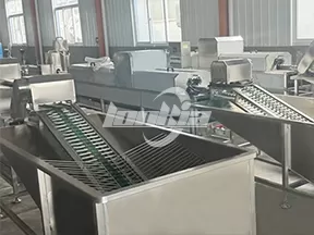 Línea de lavado automático de huevos