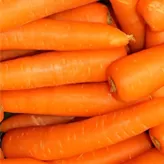 Zanahoria