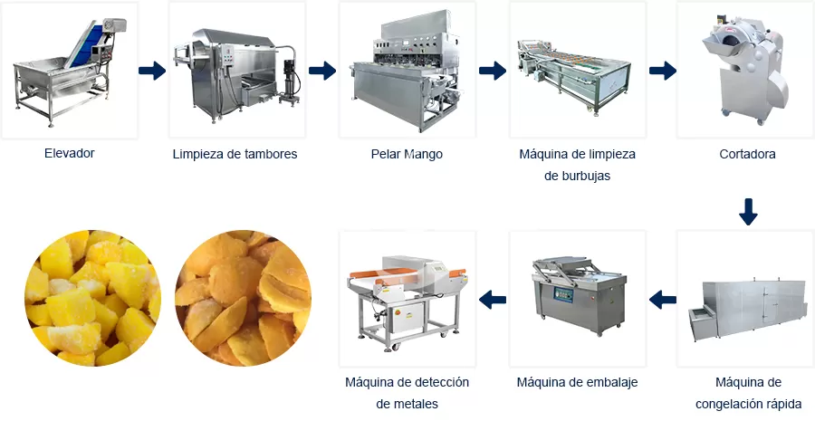 Proceso de Línea de Producción Línea de producción de cubos de mango congelado