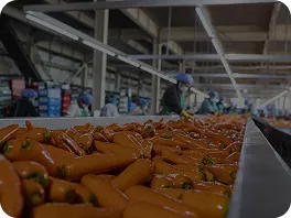 Instalaciones de procesamiento agrícola