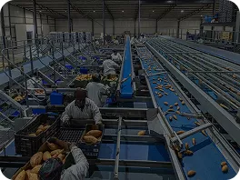 Centros de distribución de catering