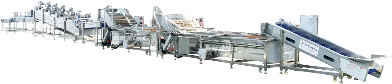 Línea y equipos para el procesamiento industrial de lavado de frutas y verduras