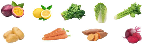 Materiales para la línea de procesamiento de lavado industrial de frutas y verduras