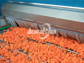 Congelador de lecho fluidizado